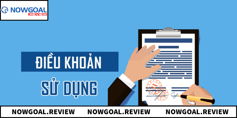 Các nội dung cốt lõi trong điều khoản sử dụng