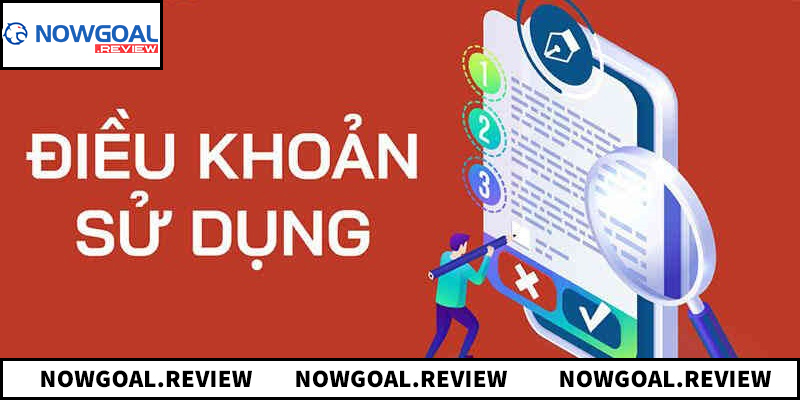 Tổng quan về chính sách điều khoản sử dụng